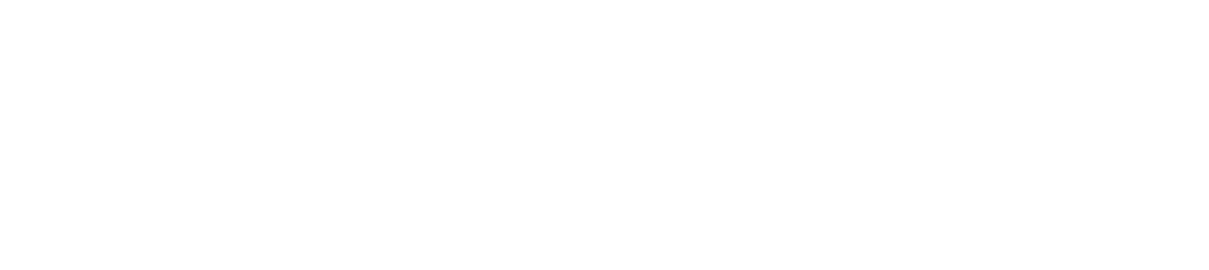 NewMedia Logo